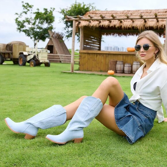 Women's Faux Suede Pointed Heeled Western Wide Calf Embroidered Light Blue Boots - Picture 3 of 7